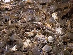 -聚盛源蒸汽海鲜火锅烤肉自助(巨川金海岸购物广场店)