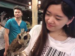 -清迈夜间动物园