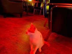 -饮湖威士忌鸡尾酒吧