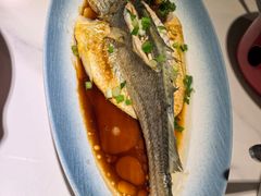 -33号大院·青岛本帮菜(五四广场店)