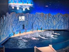 -珠海长隆海洋王国