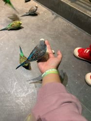 -酷嗒动物文化乐园(cutezoo西溪乐天城店)