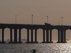 -宝安西湾红树林湿地公园