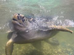 -苏州海洋馆