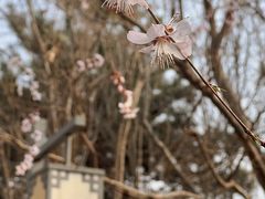 -北京明城墙遗址公园