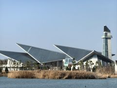 -盐城丹顶鹤湿地生态旅游区