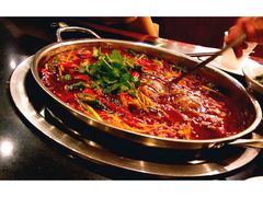 精品千层肚-川道拐耗儿鱼(旗舰店)