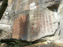 -铁山坪森林公园