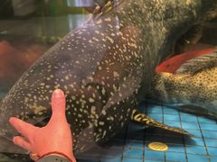 -聚福宝合苑食府(南头镇店)