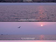 -东堤公园