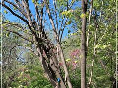 -国家植物园南园