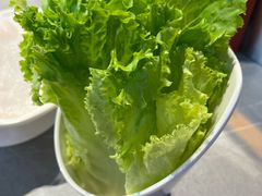 -生活如沸·顺德水牛奶火锅(人民广场店)