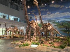 -自贡恐龙博物馆