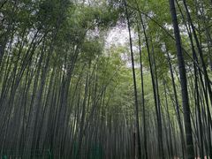 -宝岩生态观光园