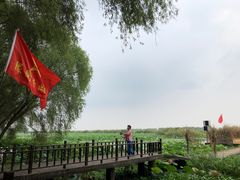 -洪湖生态旅游区