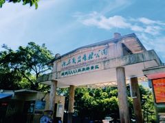 -广东茂名森林公园