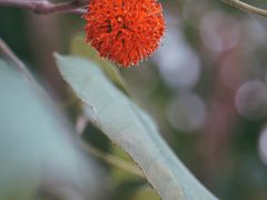 -济南轻骑摩托车有限公司(和平路)