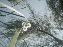 -河海大学(常州校区)