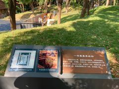 -马王堆汉墓遗址