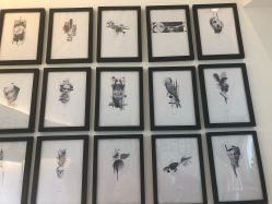 -飛凡TATTOO纹身•原创