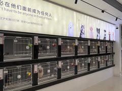 -翊宠yipet猫狗购宠庄园犬舍•猫舍