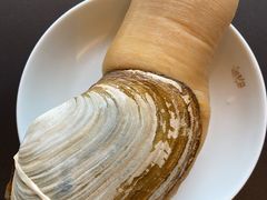 A级象拔蚌-官也街澳门火锅(新源里店)
