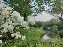 -西溪国家湿地公园