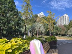 -苏州河梦清园环保主题公园