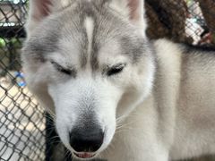 -TrueLove @ Neverland (Husky Cafe)