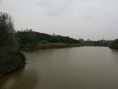 -白鹭湾湿地公园