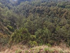 -苍山感通索道