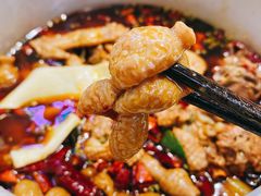 -晓彭肥肠鸡·泡椒鸡火锅(水木天地店)