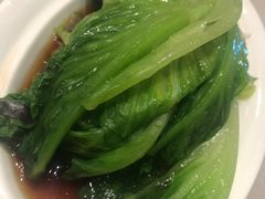 白灼生菜-金鼎轩(方庄天坛店)