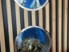 -珍宝海鲜(东海岸海鲜中心)