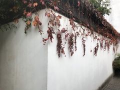 -城北食府(枫林店)