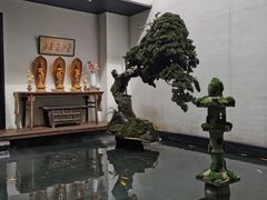 -觀芷隐轩