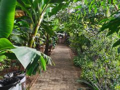 -呀路古热带植物园