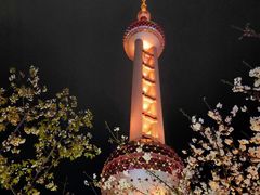 -东方明珠广播电视塔