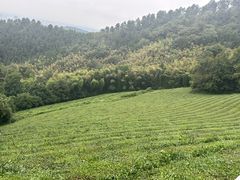 -敬亭山风景名胜区