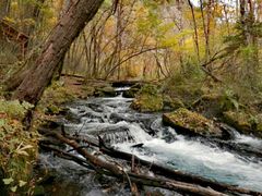 -叠溪松坪沟景区