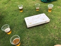 -栖露营camping·天幕烧烤·团建拓展·采摘营地