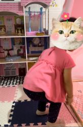 -塔塔王国·主题儿童游乐园(奥城商业广场店)