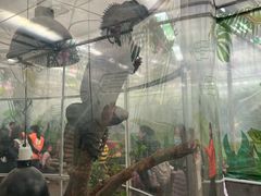 -南宫五洲植物乐园