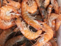 -宾朋海鲜特色美食餐厅·纯手工鲅鱼水饺(兴海路店)