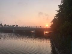 -春花秋色城市公园