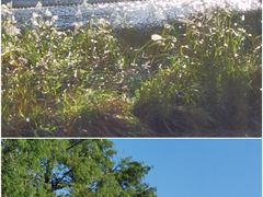 -共青国家森林公园-售票处