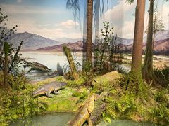 -国家自然博物馆