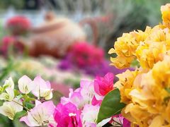 -广州市白云山风景名胜区