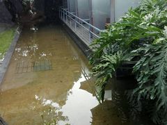 -老房子金沙元年川菜食府·花园餐厅(金沙店)