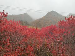 -洋湖沟